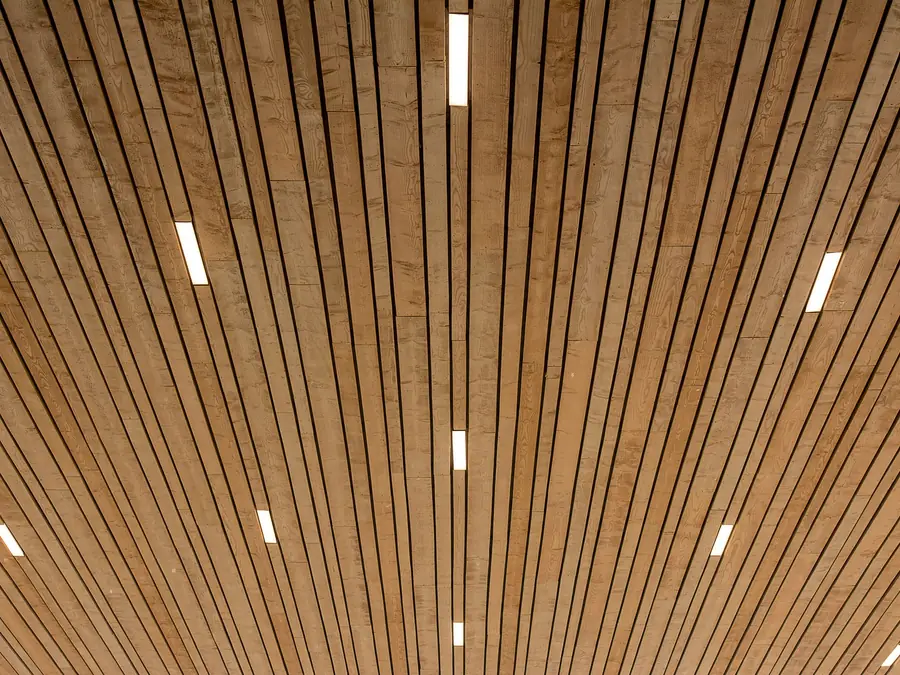 Modern wooden slat ceiling with recessed downlights